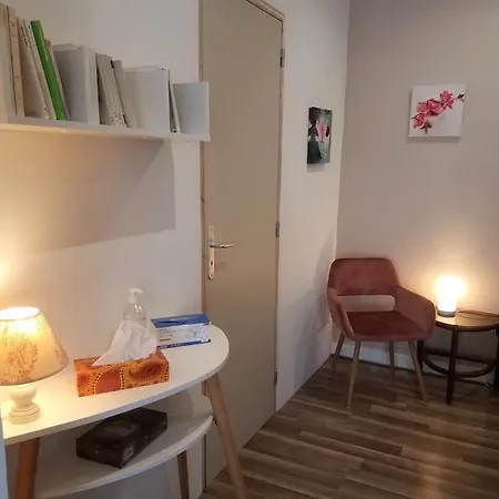 Loft Ravissant Proche Du Centre-ville Appartement